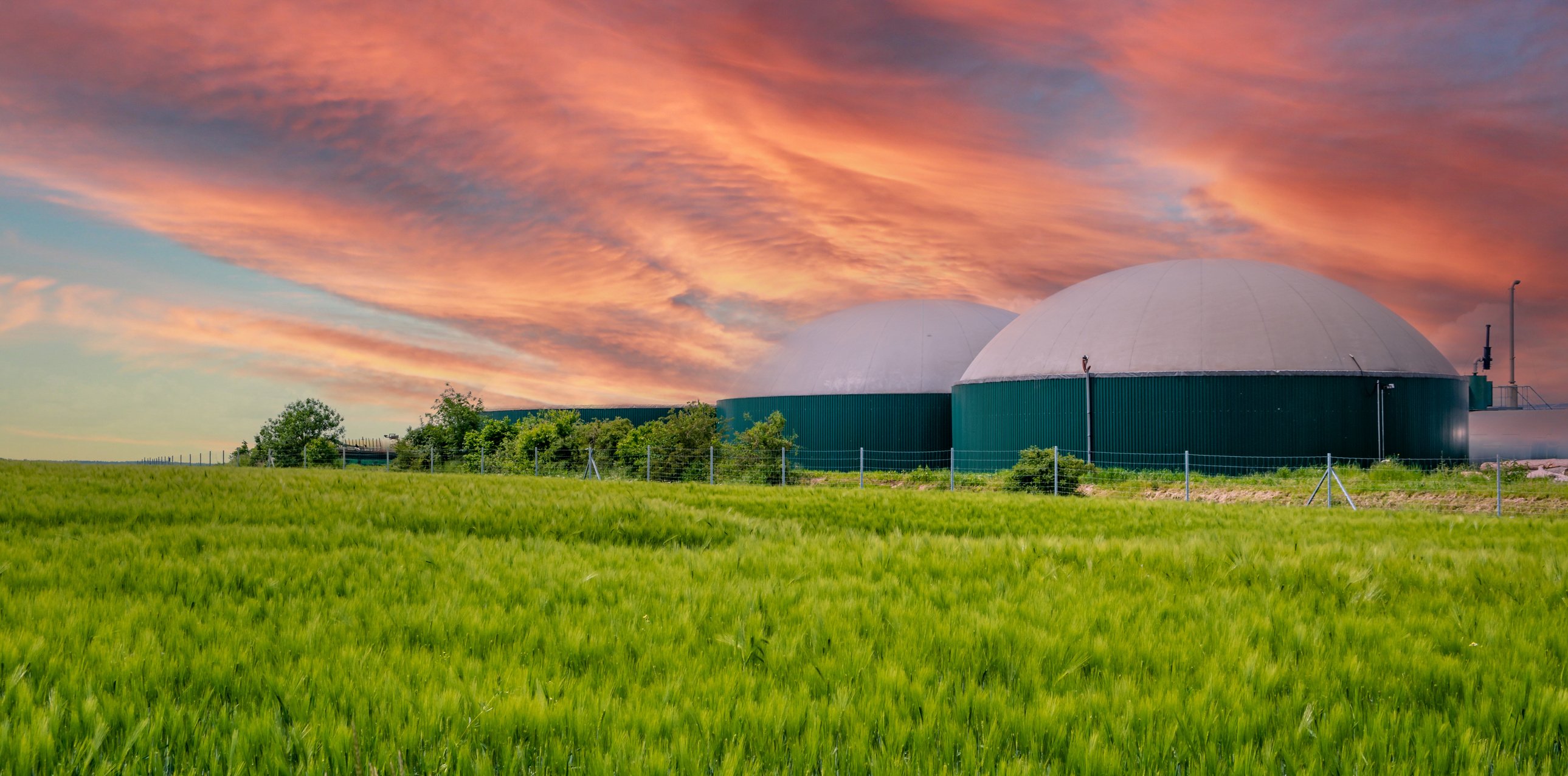 biogas production, biogas plant, bio power